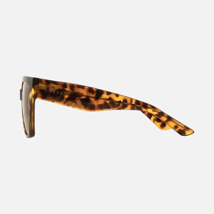 CARVE EYEWEAR BROOKLYN GLOSS TORT/BROWNN POLARIZED LENS