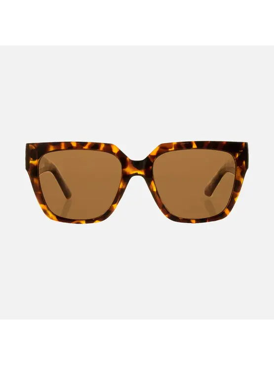 CARVE EYEWEAR Brooklyn Gloss Tort Brown Injected Polarized Lens