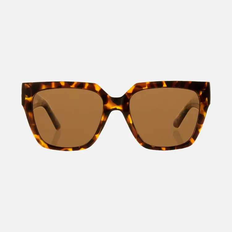 CARVE EYEWEAR BROOKLYN GLOSS TORT/BROWNN POLARIZED LENS