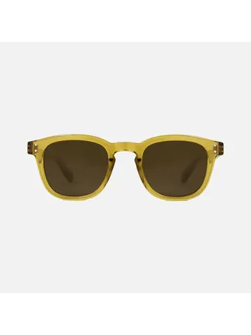 CARVE EYEWEAR Havana Clear Honey Frame Brown Injected Polarized Lens