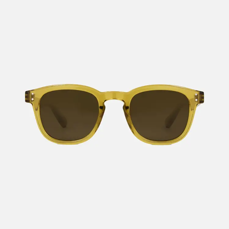 CARVE EYEWEAR HAVANA CLEAR HONEY FRAME BROWN INJECTED POLARIZED LENS