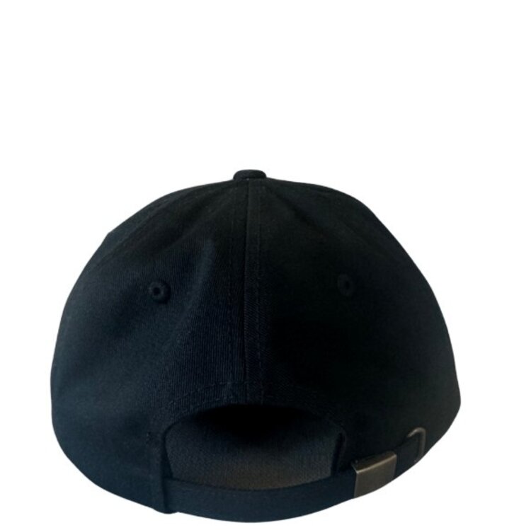 WHALEBONE LOGO SKULL AND BOARDS PATCH CAPTUER C25 DAD HAT