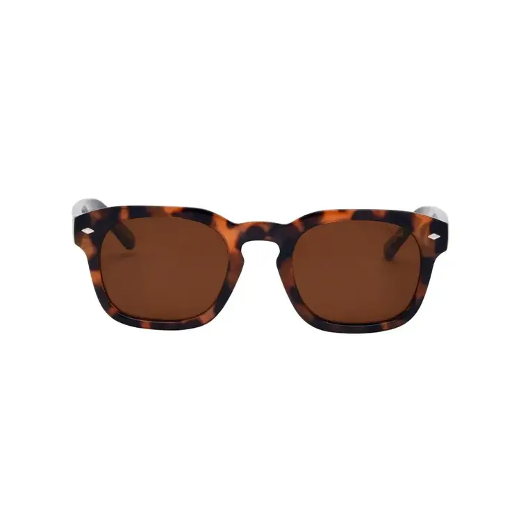 I-SEA BLAIR 2.0  TORT / BROWN POLARIZED LENS