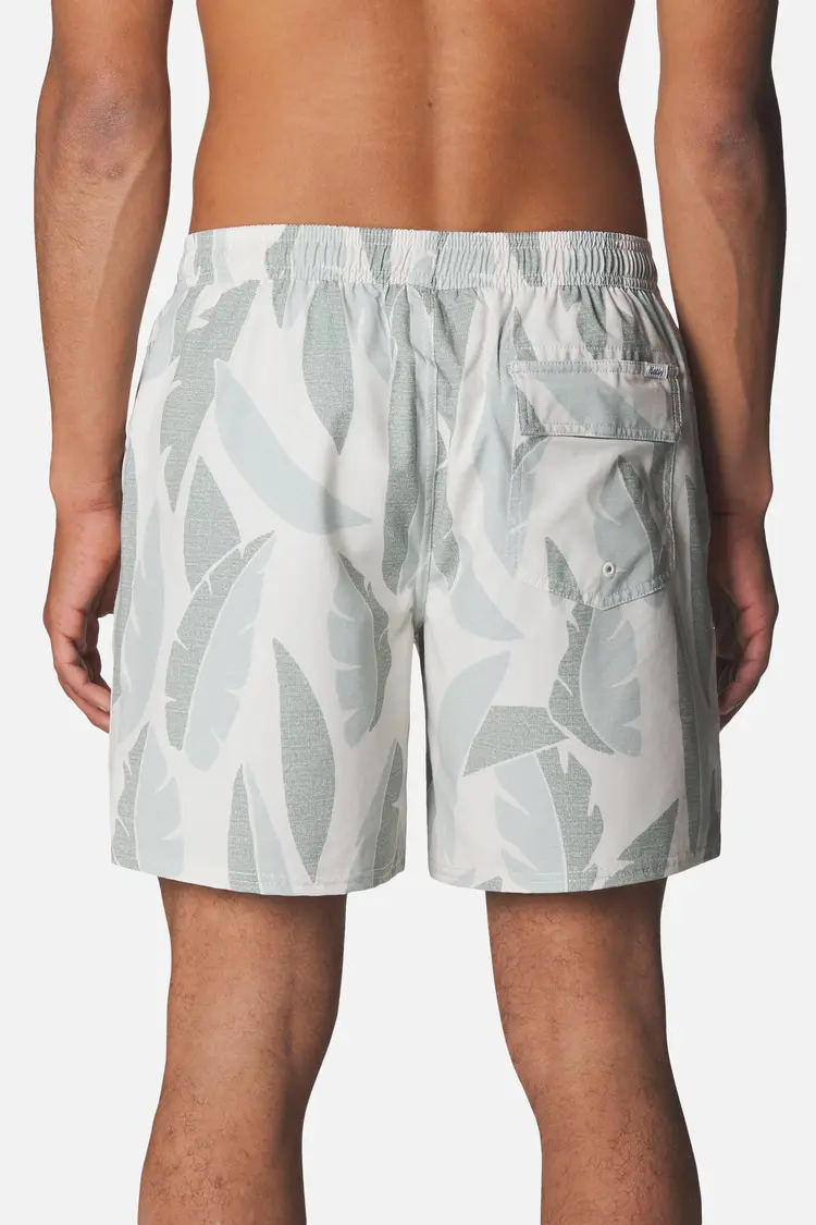KATIN LARRY VOLLEY