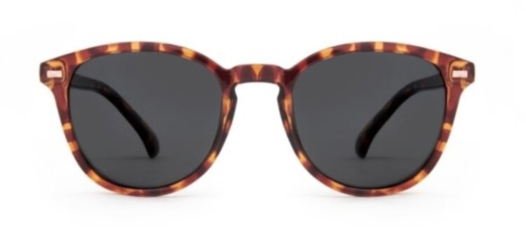 CARVE EYEWEAR OSLO - GLOSS TORT WITH GRAY POLARIZED LENS