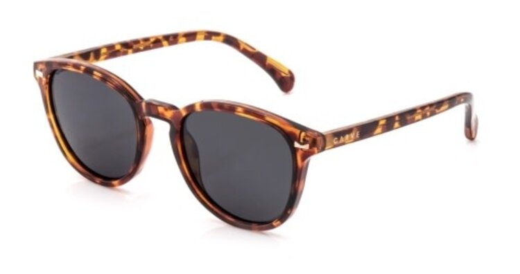 CARVE EYEWEAR OSLO - GLOSS TORT WITH GRAY POLARIZED LENS