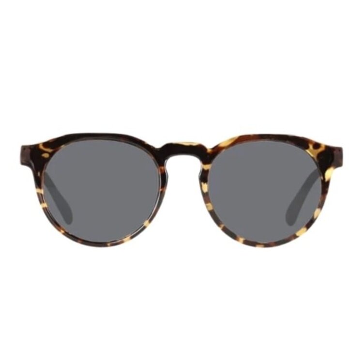 CARVE EYEWEAR CARVE HUDSON VELENCIA