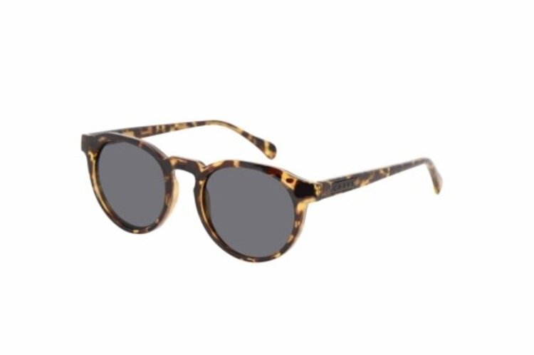 CARVE EYEWEAR CARVE HUDSON VELENCIA