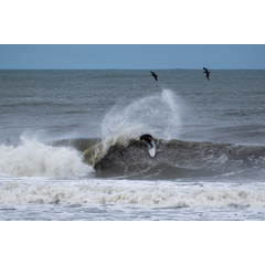 SURF