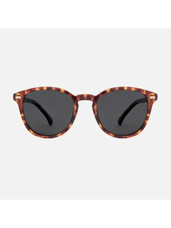 CARVE EYEWEAR Oslo - Gloss Tort with Gray Polarized Lens