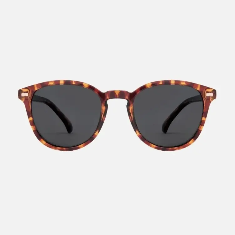 CARVE EYEWEAR OSLO - GLOSS TORT WITH GRAY POLARIZED LENS