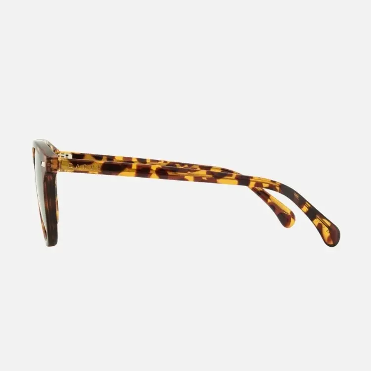 CARVE EYEWEAR OSLO - GLOSS TORT WITH GRAY POLARIZED LENS
