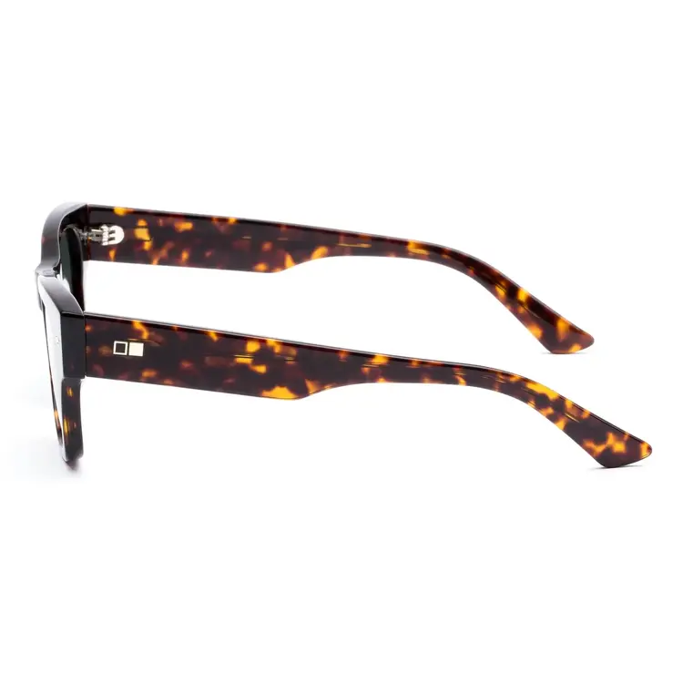 OTIS OUT OF SIGHT ECO HAVANA RAY / GREY POLAR