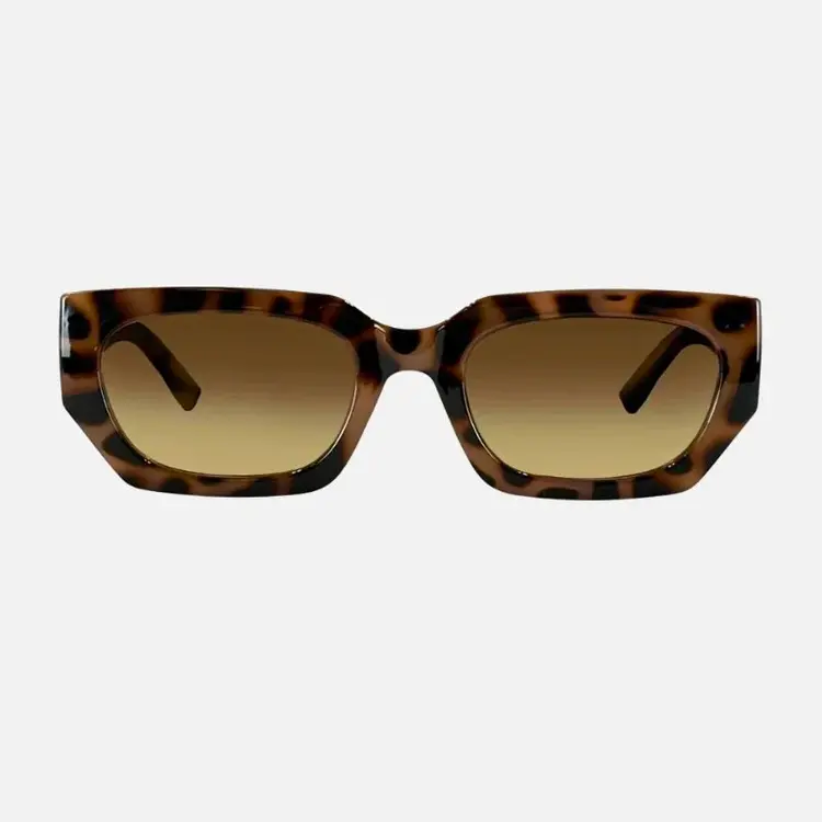 CARVE EYEWEAR CARVE 36551 VINCA GLOSS CREAMY TORT GRAD BRWN LENS