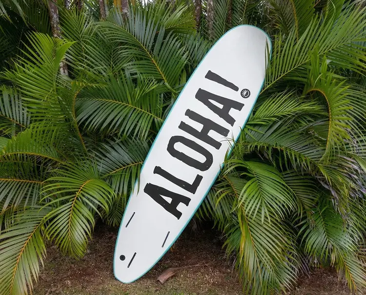 FUN DAY SURF 7'0 REGULATOR WITH FINS (IN STORE PICK-UP ONLY)