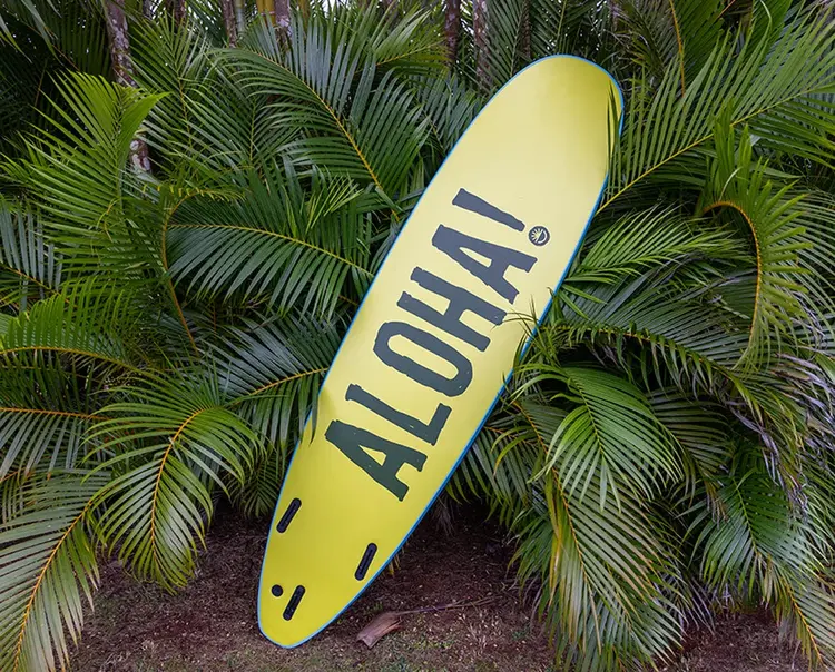 FUN DAY SURF 8'0 REGULATOR WITH FINS (IN STORE PICK-UP ONLY)