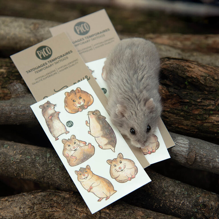 PICO TATOO TATOUAGES TEMPORAIRES -  POOKY LE HAMSTER ET SES AMIS