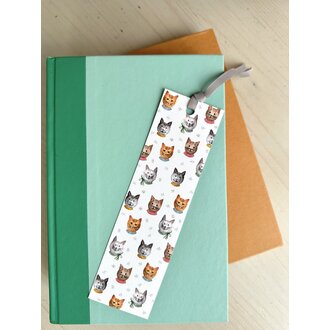 STÉPHANIE RENIÈRE SIGNET