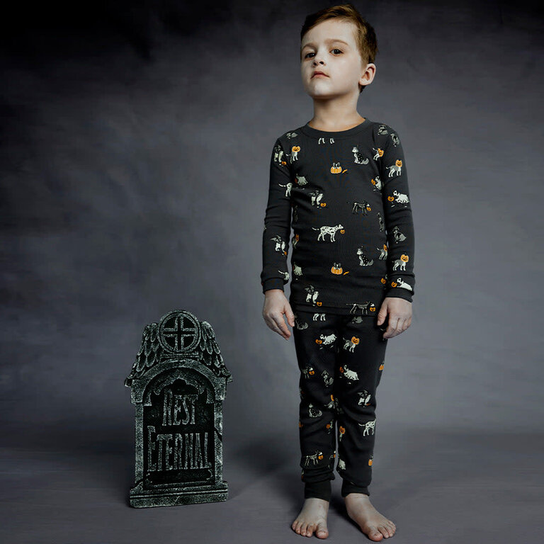 PETIT LEM PYJAMA 2 PIÈCES À IMPRIMÉ D'ANIMAUX EFFRAYANTS - DARK GREY