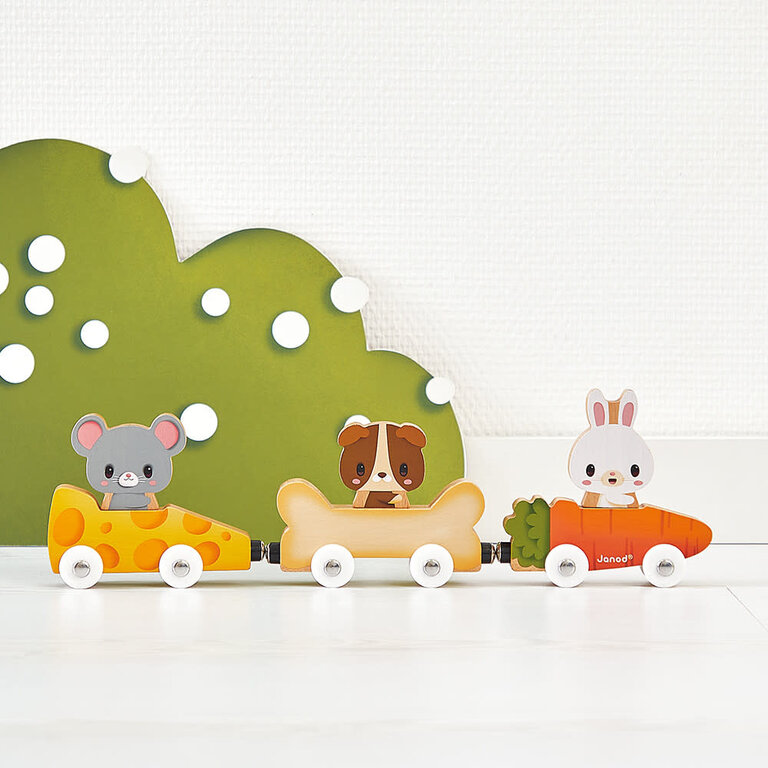 JANOD ANIMAUX DOMESTIQUES MAGNÉTIQUES