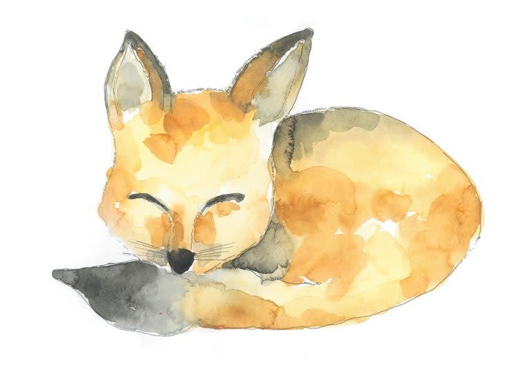 STÉPHANIE RENIÈRE CARTE DE SOUHAITS - RENAUD