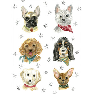 STÉPHANIE RENIÈRE CARTE DE SOUHAITS - JACK