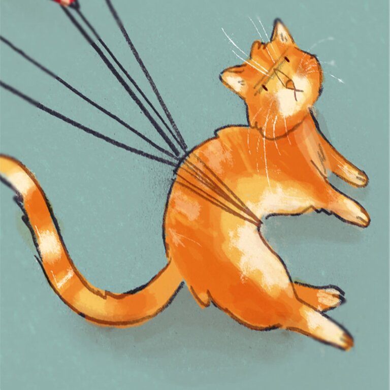 VALÉRIE BOIVIN CARTE DE SOUHAITS - CHAT VOLANT