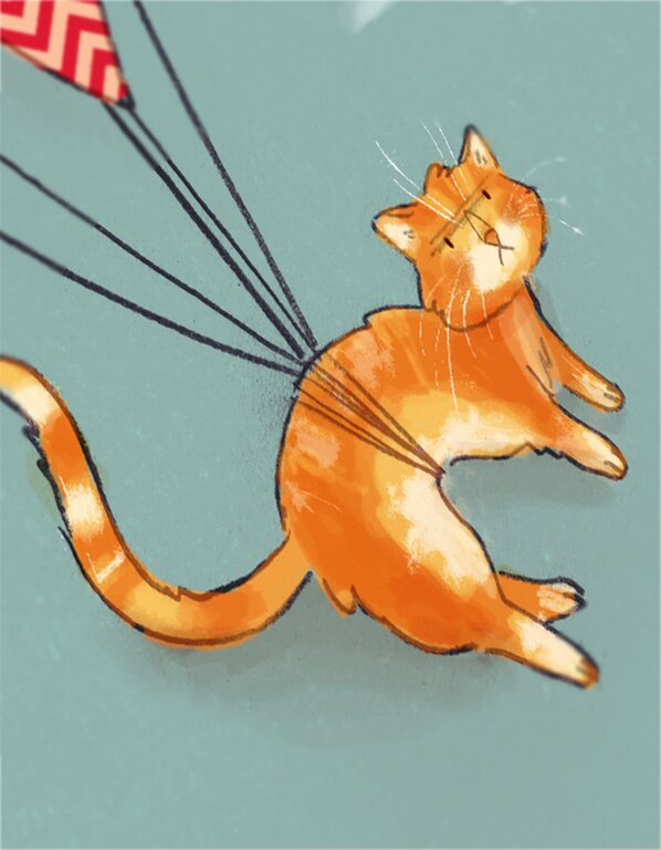 VALÉRIE BOIVIN CARTE DE SOUHAITS - CHAT VOLANT