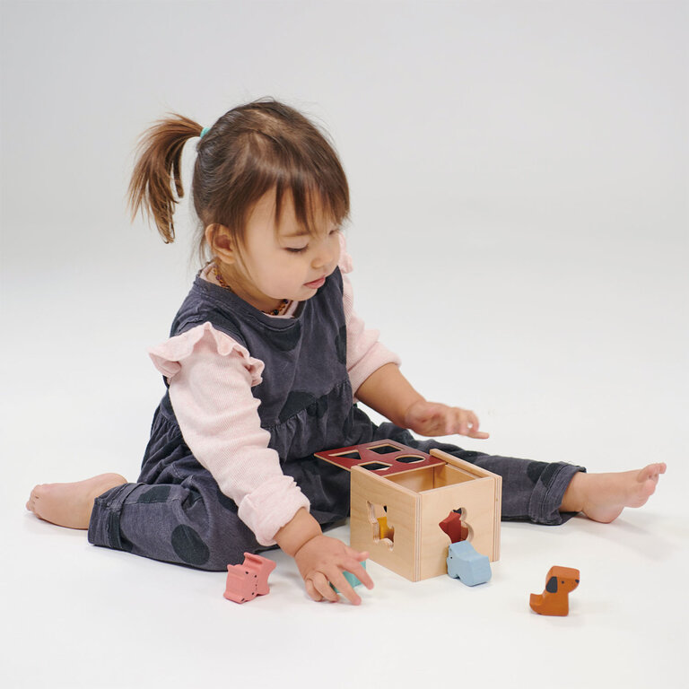 MENTARI CUBE TRIEUR DE FORMES - BAMBINO