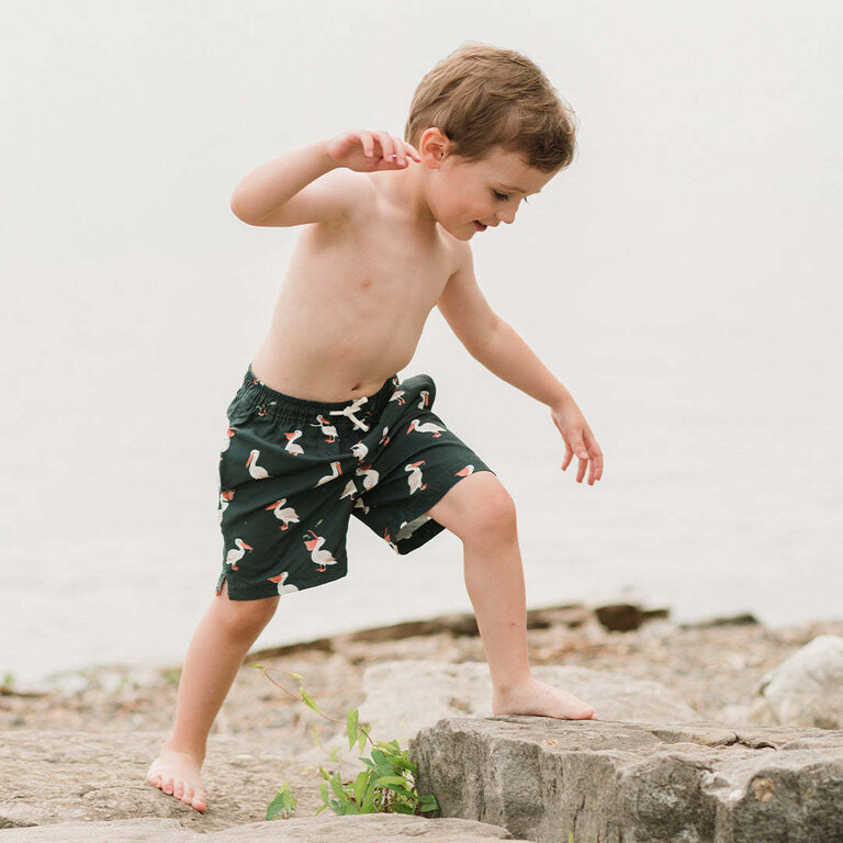 PETIT LEM MAILLOT SHORT À IMPRIMÉS DE PÉLICANS - VERT
