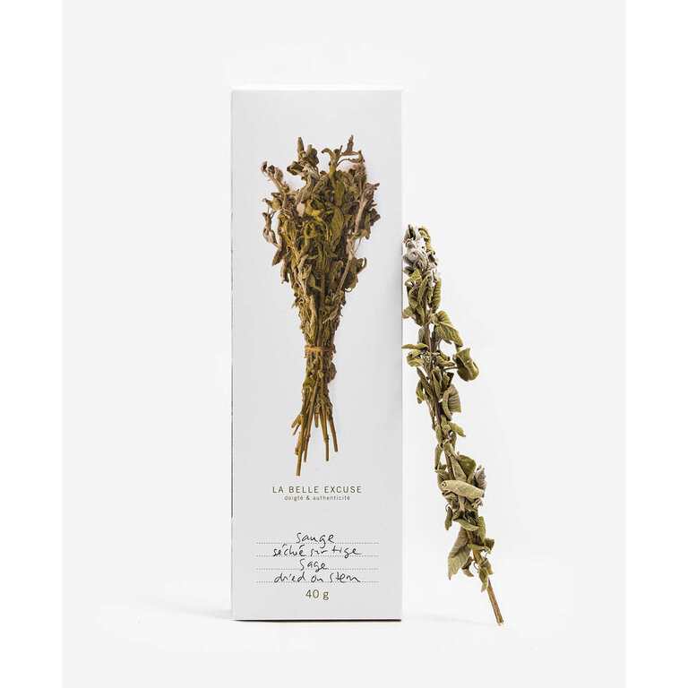 LA BELLE EXCUSE DRIED SAGE ON THE STEM