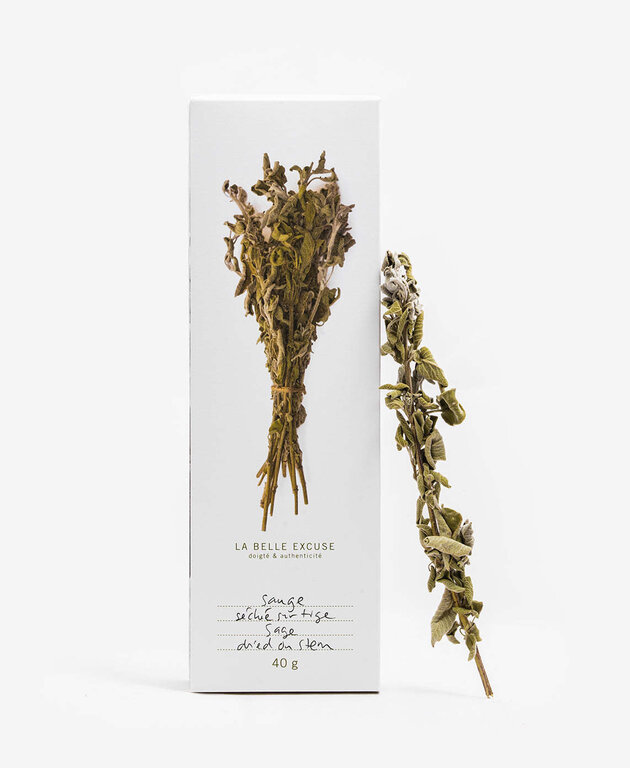 LA BELLE EXCUSE SAUGE SÉCHÉE SUR TIGE