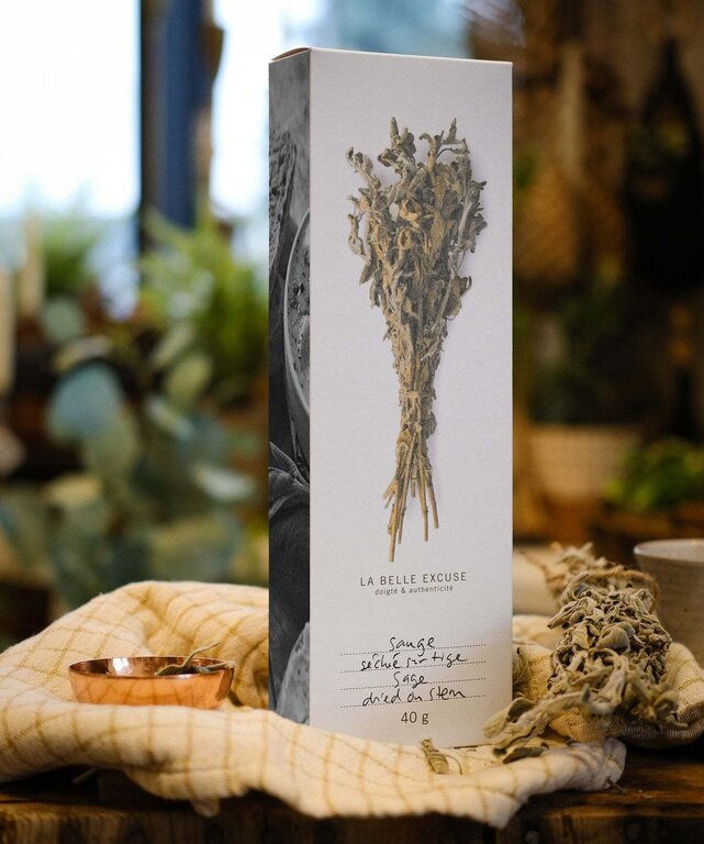 LA BELLE EXCUSE SAUGE SÉCHÉE SUR TIGE