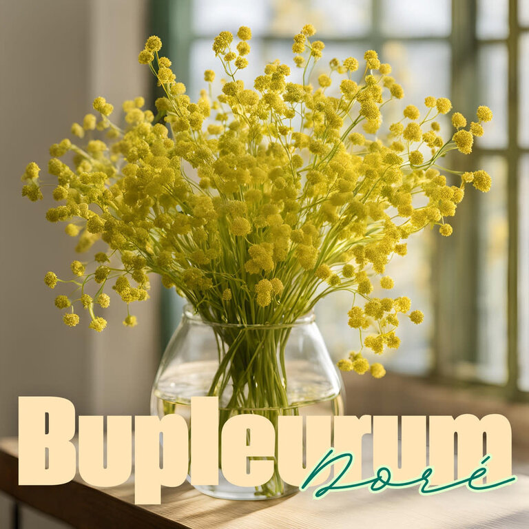 LES PARSEMÉES BOUQUET 70 JOURS (4 VARIÉTÉS)