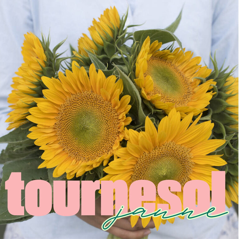 LES PARSEMÉES BOUQUET 60 JOURS (4 VARIÉTÉS)