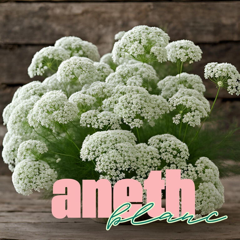 LES PARSEMÉES BOUQUET 60 JOURS (4 VARIÉTÉS)