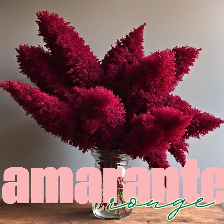 LES PARSEMÉES BOUQUET 60 JOURS (4 VARIÉTÉS)