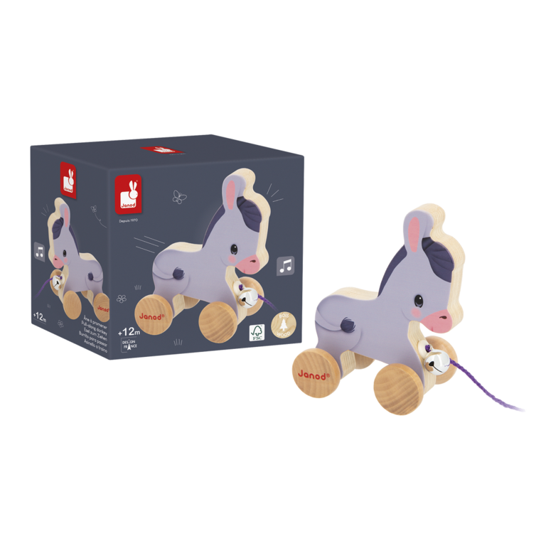 JANOD FERME : ÂNE À PROMENER