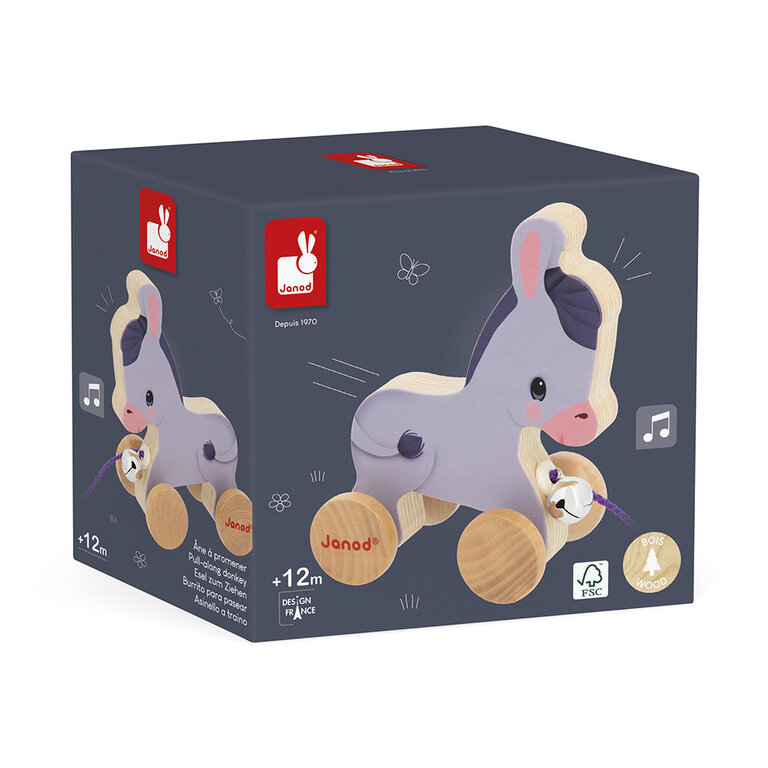 JANOD FERME : ÂNE À PROMENER