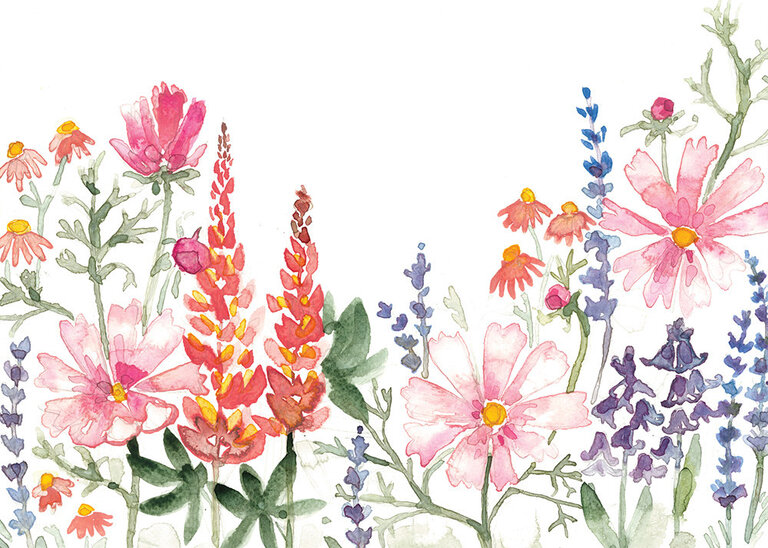 STÉPHANIE RENIÈRE CARTE DE SOUHAITS - LAURA