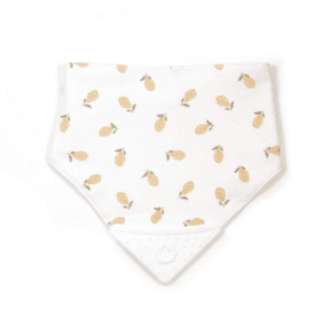 BULLE BIJOUTERIE BAVOIR À MORDILLER - CITRONS