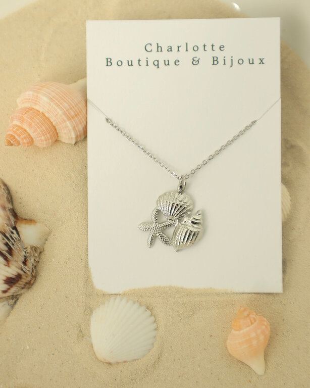 CHARLOTTE BOUTIQUE COLLIER NAMI - ARGENT