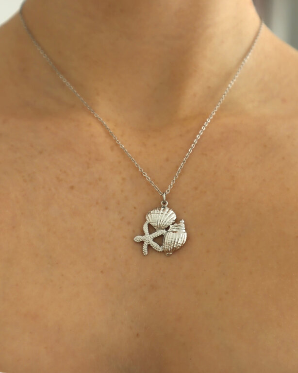 CHARLOTTE BOUTIQUE COLLIER NAMI - ARGENT