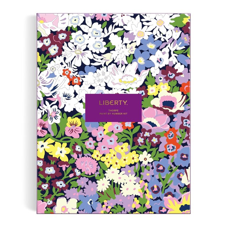 GALISON KIT PEINTURE À NUMÉRO LIBERTY 9 X 12 - THORPE