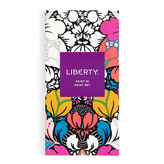 GALISON PAINT-IN CARD SET - LIBERTY