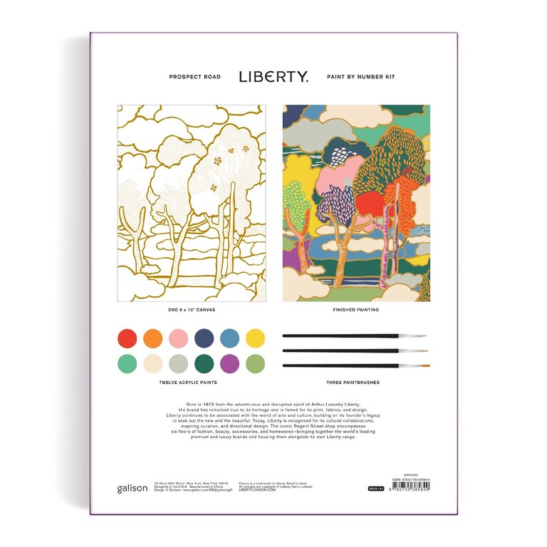 GALISON KIT PEINTURE À NUMÉRO LIBERTY 9 X 12 - PROSPECT