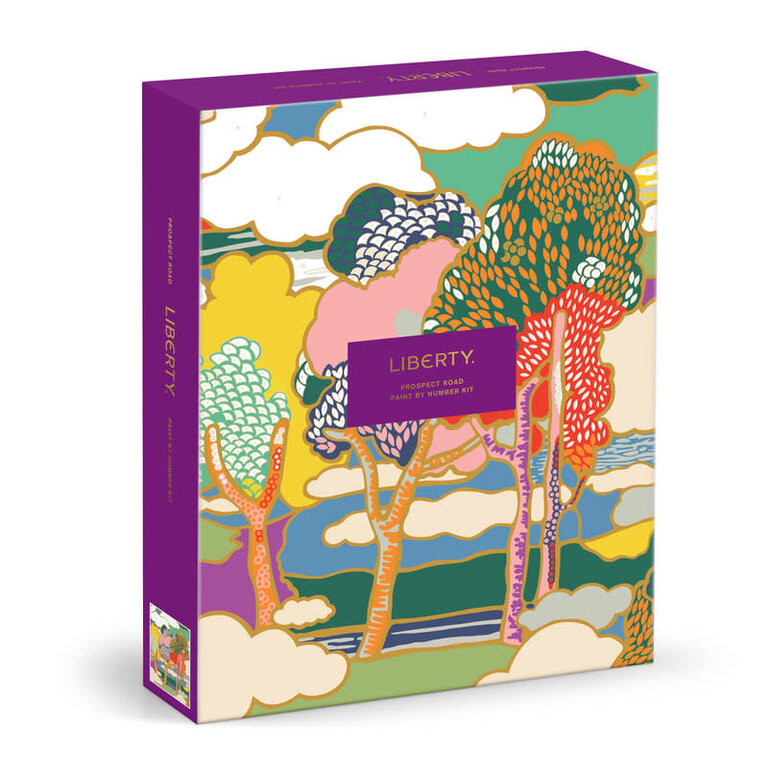 GALISON KIT PEINTURE À NUMÉRO LIBERTY 9 X 12 - PROSPECT
