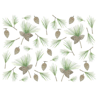 STÉPHANIE RENIÈRE MINI CARTE DE SOUHAITS -  SÉBASTIEN 1M