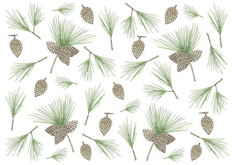 STÉPHANIE RENIÈRE MINI CARTE DE SOUHAITS -  SÉBASTIEN 1M