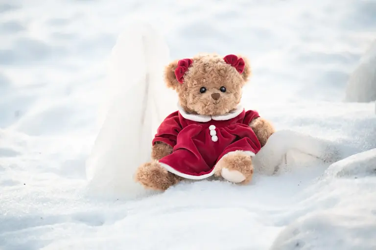 BUKOWSKI PELUCHE - OURSON CÉLINE